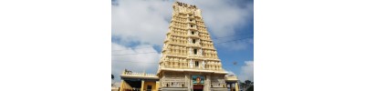 மைசூர் சாமுண்டீஸ்வரி - கர்நாடகா